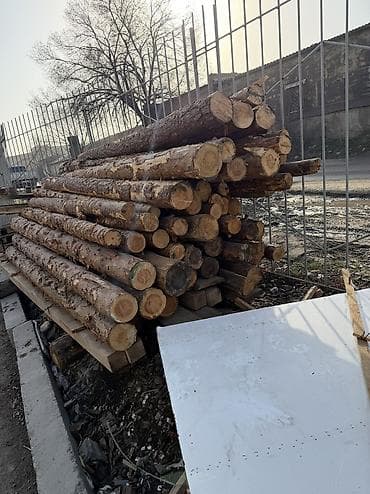 леса турецкие: Срочно!!! Продается Кругляк(сосна, пихта, тополь и др. породы)длина — 9
