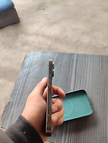 aspire 3: IPhone 13 Pro, Б/у, 256 ГБ, Графит, Чехол, 83 % — 6