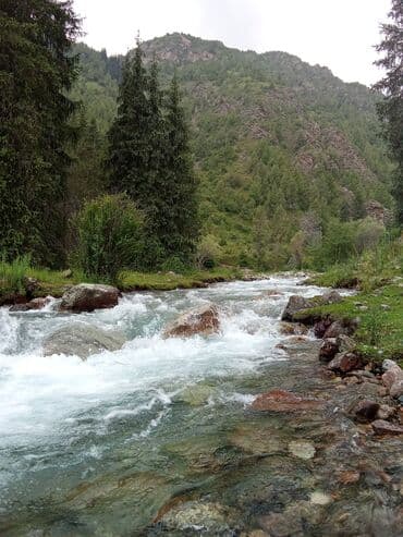 дом на иссык куле купить: Суу чыгарабыз,суу чыгарабыз Арзан,Арзан,арзан 40чы труба,насос — 22