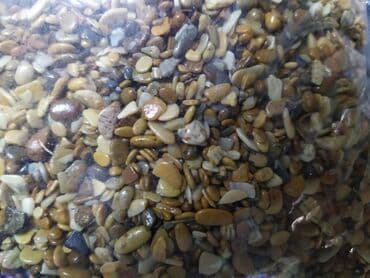 аквариумная рыбка: Грунты аквариумные на выбор. Разных цветов и фракций. Есть — 12