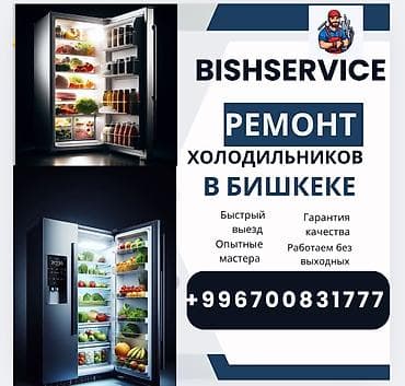 Здравствуйте. Я мастер по ремонту холодильников в Бишкеке. Стаж
