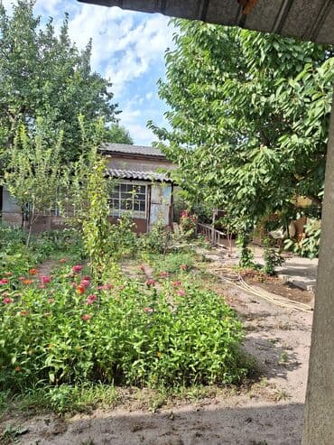 продаю дом г ош: Үй, 65 кв. м, 4 бөлмө, Риелтор, Косметикалык оңдоо — 24