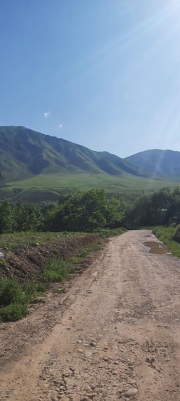 чопон ата: 5 соток, Красная книга — 9