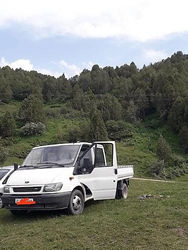 грузовой авто: Легкий грузовик, Ford, Дубль — 1