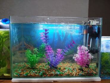 Продаю готовый аквариумный комплект с оформлением В подарок рыбки