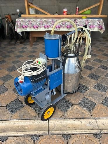 доильный аппарат бу: Продаю китайский доильный аппарат в идеальном состоянии работает всё — 1