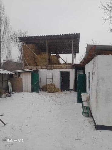 куплю дом в буденовке: Дом, 120 м², 5 комнат, Собственник, Евроремонт — 12