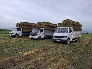 Грузовик, Mercedes-Benz, Стандарт, 5 т, Б/у