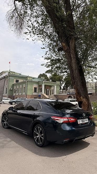 потолок камри 55: Toyota Camry: 2019 г., 2.5 л, Автомат, Бензин, Седан — 4