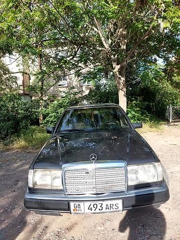 пружины 124 мерс: Mercedes-Benz W124: 1992 г., 2.3 л, Автомат, Седан — 1