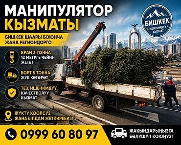 электра мото муравей: Стрела 12 м, 3 т, Борт 5 кг — 1