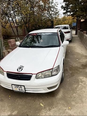 Toyota Camry: 2001 г., 2.2 л, Автомат, Бензин, Седан