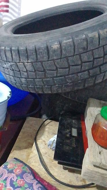 dewoo tiko: Зимняя шина для легкового автомобиля
сатылат же алмашам — 1