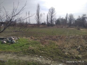 куплю дом в районе ак орго: Дом, 3600 м², 4 комнаты — 8