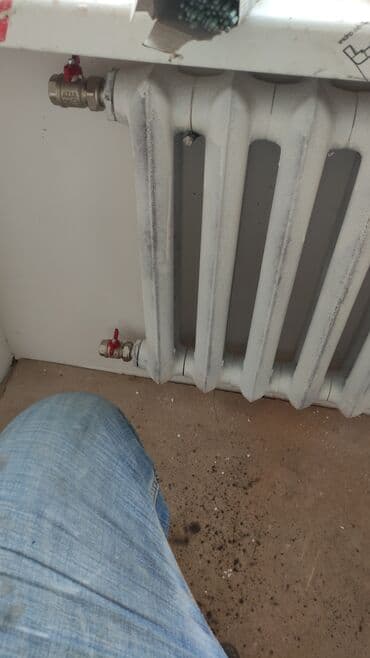 азия пелес: Котел Royal Clima — 1