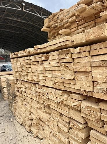 Балки: Хвоя — 3