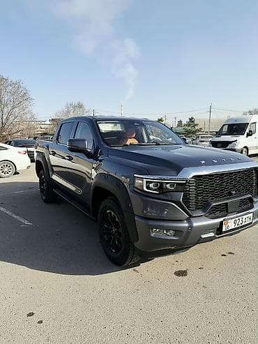 beta fpv: Легкий грузовик, Foton, Дубль — 5