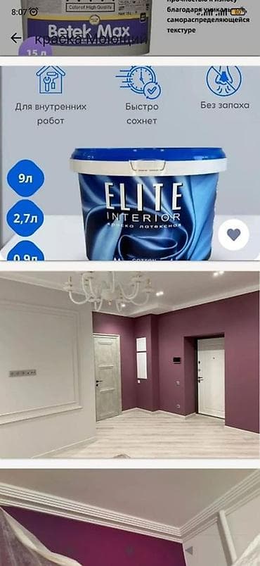 Жасалгалоочу жумуштар: Покраска стен и потолков безвоздушным способом. Профессиональная — 4