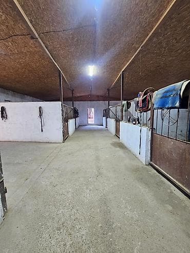 аренда берем: Кошара, 21 соток, Действующий, Отопление, Холодная вода, Электричество — 2