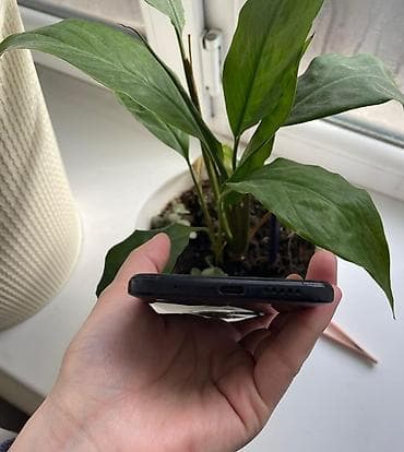 gt5 pro: Redmi, Redmi Note 11, Б/у, 128 ГБ, цвет - Черный, 2 SIM — 6