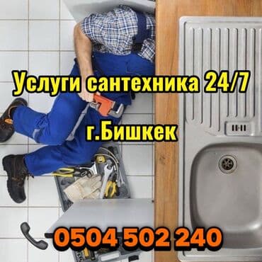 комнатные растения в бишкеке купить цена оптом и в розницу: Сантехник бишкек Услуги сантехника Муж на час Чистка канализации — 2