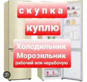 балыкчы пляж: Морозильник — 1
