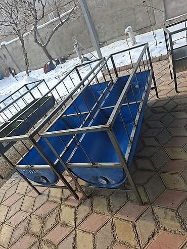 Акыр. Кормушки для баранов из пластмассовые бочек