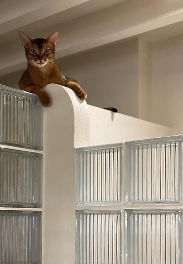 Стеклоблок: Стеклоблоки рифлёные для межкомнатных перегородок и зонирования — 3