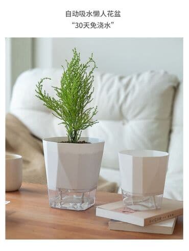 Горшок для растений с автополивом. Стоимость одного горшка