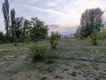 продается дом село раздольное: 39 соток, Для строительства, Красная книга, Договор купли-продажи — 6