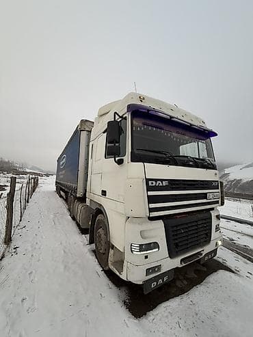 пенополистирол бетон: Тягач, DAF, 2005 г. — 6