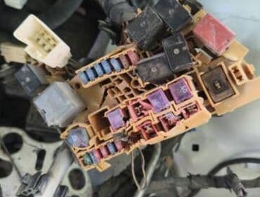 Туристические услуги: Автоэлектрик — 4