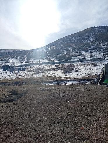 продаю земельные участки: Дом/дача (каркасно-щитовая постройка) с участком у подножия холма — 2