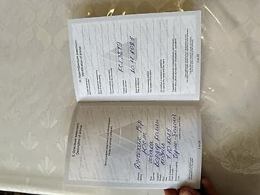 корги сабака: Колли, 6 месяцев, Самец, С прививкой — 10