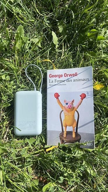 повербанк редми: Портативный аккумулятор Xiaomi 10000 mAh - Емкость: 10 000 мА·ч (37 — 4