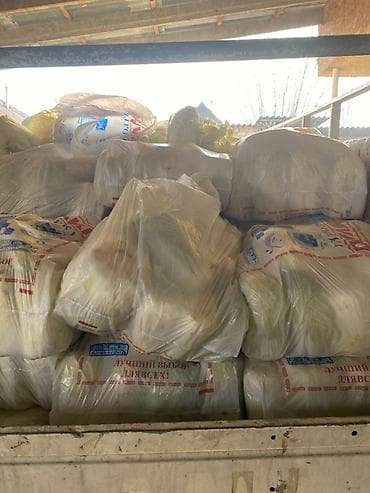 Акшактар, ун, шекер: Капуста Пекин — 4