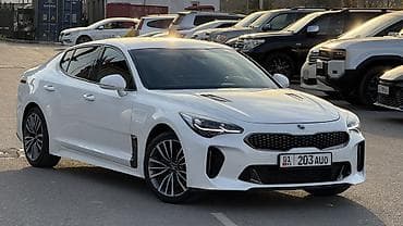 Kia Stinger: 2019 г., 2.2 л, Автомат, Дизель, Хэтчбэк