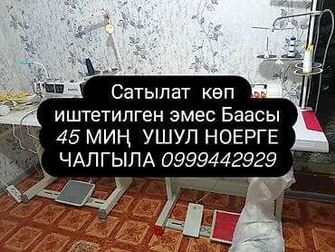 Allrico, В наличии