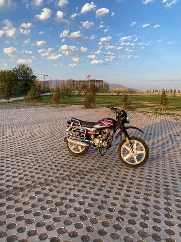 сумка для мотоцикла: Классический мотоцикл 200 куб. см, Бензин, Взрослый, Б/у — 1