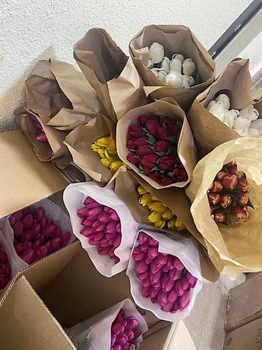 Продаем тюльпаны !!!!!! Очень красивые Принимаем заказы в любом