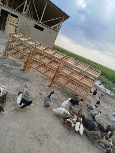 шкафчик для книг: Полка для цветов, Новый, Дерево, Самовывоз — 5