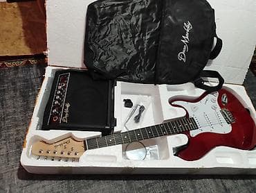 насыя: 🎸 ЭЛЕКТРОГИТАРА С ПОЛНЫМ КОМПЛЕКТОМ — ВКЛЮЧИЛ И ИГРАЕШЬ 🔥 Хочешь — 2