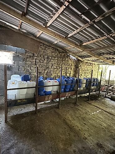 Үй жана бакча: Канистр 20 л — 3