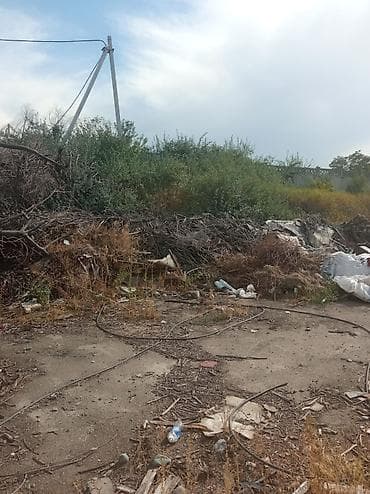 Отдам даром: Бесплатно дрова, завод ЭВМ, по улице Исакеева/Чолпон Атинка — 1