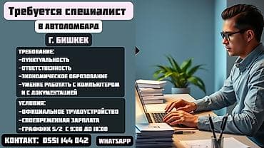 полевые работы: Помощник — 1