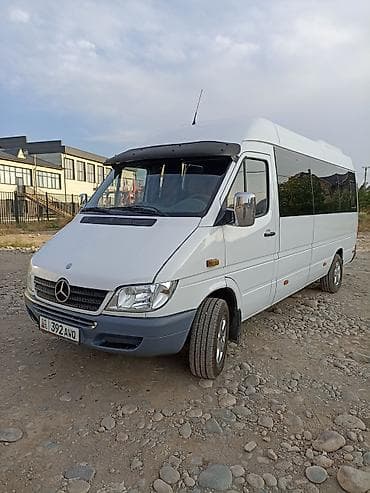 mini printer: Mercedes-Benz Sprinter пассажирский микроавтобус. Год-2004 — 1