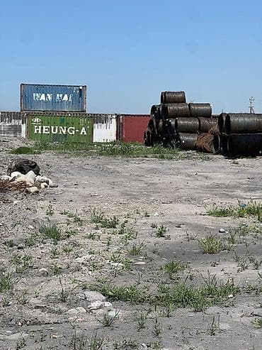 50 соток Для бизнеса, Электричество, Водопровод