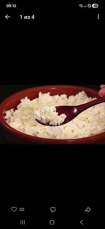 козий сыр: Молоко нубийских коз. без специфического запахавысокого качества — 3