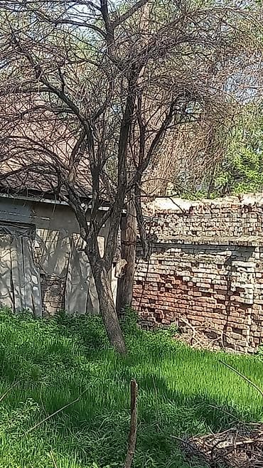 Отдам дрова. Отун. Самовывоз