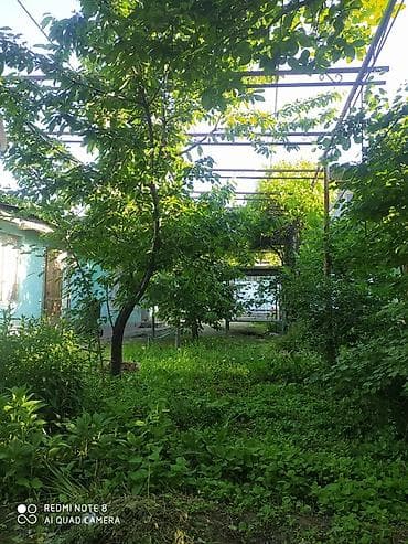 одежда для мма: Саюуздун темири даяр аркага - По периметру — металлический — 2